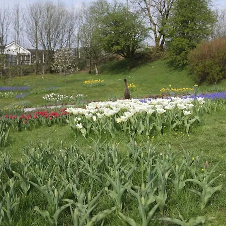 Rowrah Hall Гостевой дом