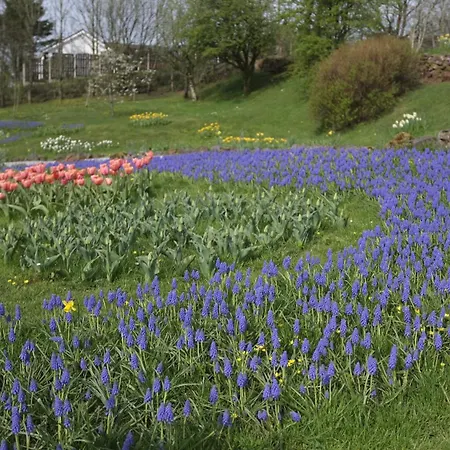 Гостевой дом Rowrah Hall