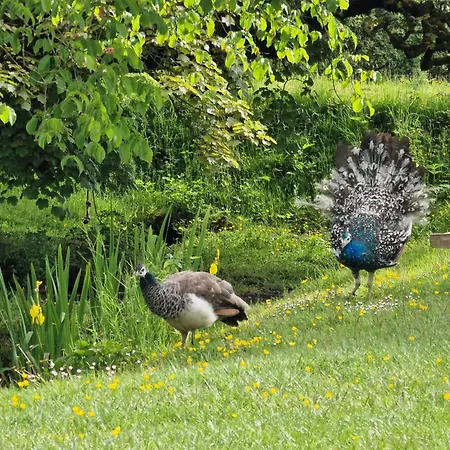 Rowrah Hall Gæstehus Arlecdon