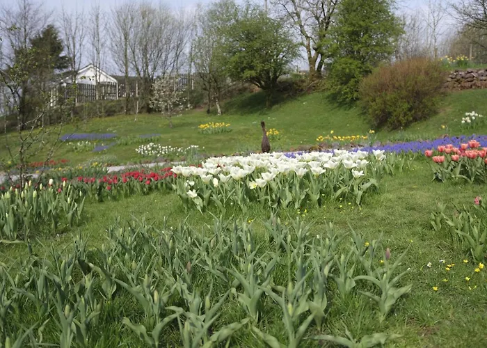 Rowrah Hall Gæstehus