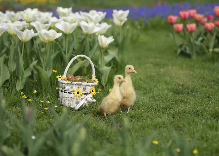 Gæstehus Rowrah Hall 4*