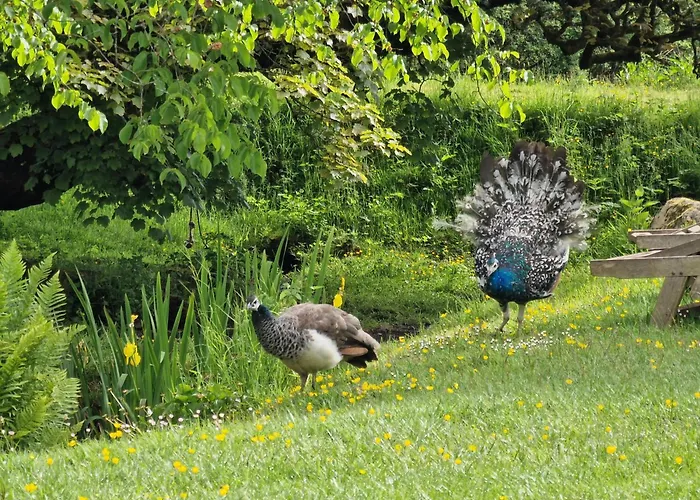 Rowrah Hall Gæstehus Arlecdon